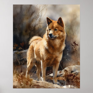 Finnisch Spitz Dog Art Print Poster