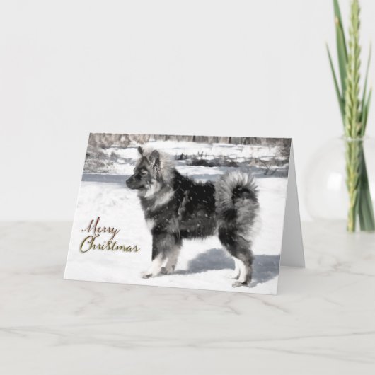Finnische Lapphund Weihnachtskarte Feiertagskarte (Vorderseite)