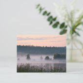 Finnische Nebellandschaft Postkarte (Stehend Vorderseite)