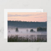 Finnische Nebellandschaft Postkarte (Vorne/Hinten)