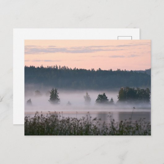 Finnische Nebellandschaft Postkarte (Vorne/Hinten)