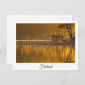 Finnische Seenlandschaft Andenken Postkarte (Vorne/Hinten)