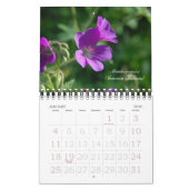 Finnischer Kalender der wild lebenden Blume (Jan 2026)