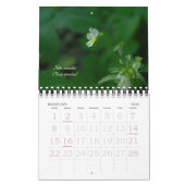 Finnischer Kalender der wild lebenden Blume (Feb 2026)