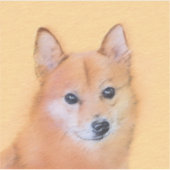 Finnischer Lapphund, Finnisch,Lapphund,Lapinkoira, Aufkleber (Vorderseite)