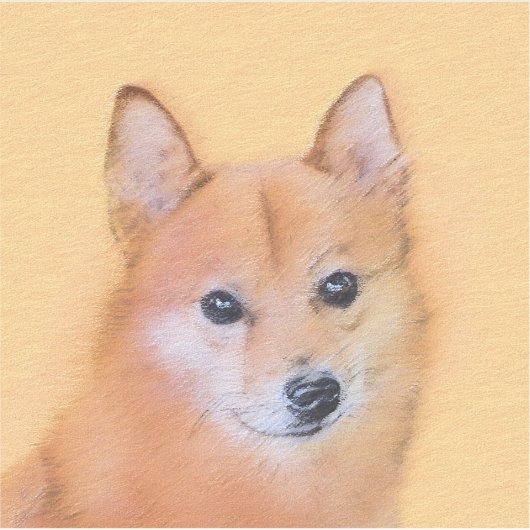 Finnischer Lapphund, Finnisch,Lapphund,Lapinkoira, Aufkleber (Vorderseite)