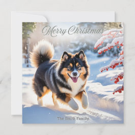 Finnischer Lapphund Hund auf schneebedecktem Bild Feiertagskarte