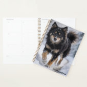Finnischer Lapphund Planer (Anzeige)