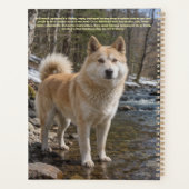 Finnischer Lapphund Planer (Rückseite)