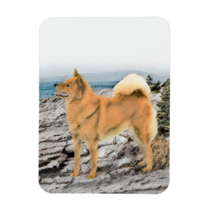 Finnischer Spitz bei Seashore-Malerei - Hundekunst Magnet