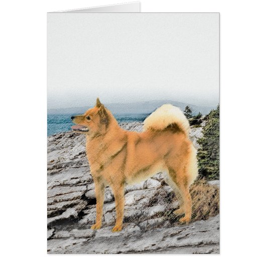 Finnischer Spitz beim Seashore-Gemälde - Hundekuns (Vorne)