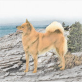 Finnischer Spitz beim Seashore-Gemälde - Hundekuns Aufkleber (Vorderseite)