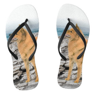 Finnischer Spitz beim Seashore-Gemälde - Hundekuns Badesandalen