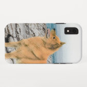 Finnischer Spitz beim Seashore-Gemälde - Hundekuns Case-Mate iPhone Hülle (Rückseite (Horizontal))