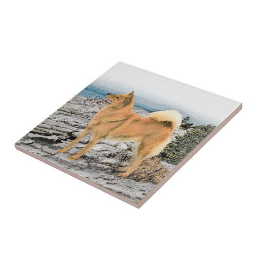 Finnischer Spitz beim Seashore-Gemälde - Hundekuns Fliese (Seite)