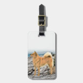 Finnischer Spitz beim Seashore-Gemälde - Hundekuns Gepäckanhänger (Vorderseite vertikal)