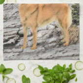 Finnischer Spitz beim Seashore-Gemälde - Hundekuns Geschirrtuch (Gefaltet)