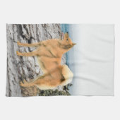 Finnischer Spitz beim Seashore-Gemälde - Hundekuns Geschirrtuch (Horizontal)