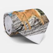 Finnischer Spitz beim Seashore-Gemälde - Hundekuns Krawatte (Gerollt)