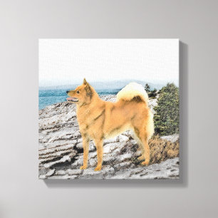 Finnischer Spitz beim Seashore-Gemälde - Hundekuns Leinwanddruck