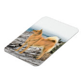 Finnischer Spitz beim Seashore-Gemälde - Hundekuns Magnet (Linke Seite)