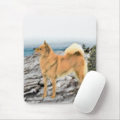 Finnischer Spitz beim Seashore-Gemälde - Hundekuns Mousepad (Mit Mouse)