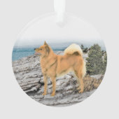 Finnischer Spitz beim Seashore-Gemälde - Hundekuns Ornament (Rückseite)