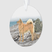 Finnischer Spitz beim Seashore-Gemälde - Hundekuns Ornament (Vorderseite)