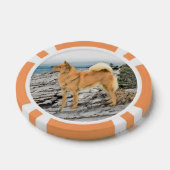 Finnischer Spitz beim Seashore-Gemälde - Hundekuns Pokerchips (Einzeln)