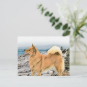 Finnischer Spitz beim Seashore-Gemälde - Hundekuns Postkarte (Stehend Vorderseite)