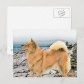 Finnischer Spitz beim Seashore-Gemälde - Hundekuns Postkarte (Vorne/Hinten)