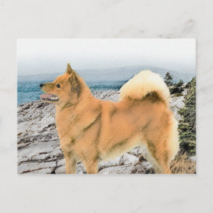 Finnischer Spitz beim Seashore-Gemälde - Hundekuns Postkarte