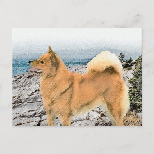 Finnischer Spitz beim Seashore-Gemälde - Hundekuns Postkarte (Vorderseite)