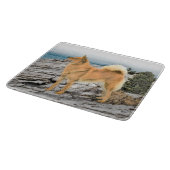 Finnischer Spitz beim Seashore-Gemälde - Hundekuns Schneidebrett (Ecke)