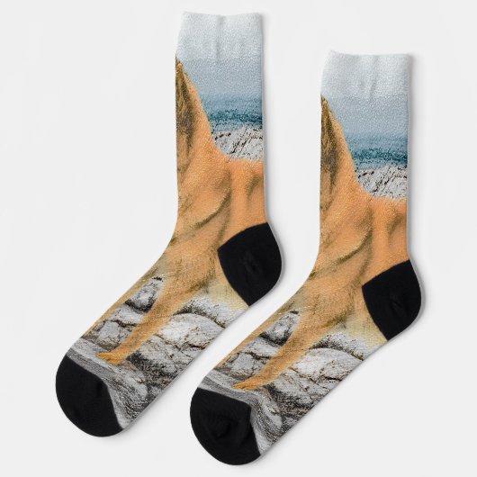 Finnischer Spitz beim Seashore-Gemälde - Hundekuns Socken (Linkes Detail)