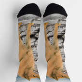 Finnischer Spitz beim Seashore-Gemälde - Hundekuns Socken (Oben)