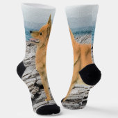 Finnischer Spitz beim Seashore-Gemälde - Hundekuns Socken (Gewinkelt)