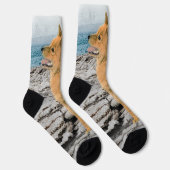 Finnischer Spitz beim Seashore-Gemälde - Hundekuns Socken (Rechts)