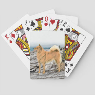 Finnischer Spitz beim Seashore-Gemälde - Hundekuns Spielkarten