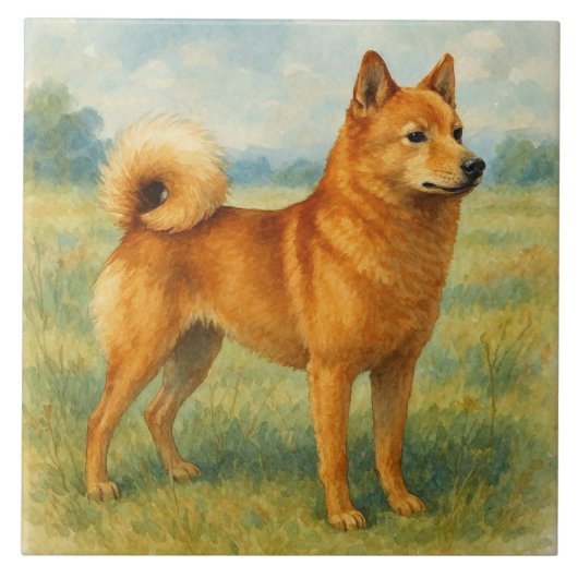 Finnischer Spitz Fliese (Vorderseite)