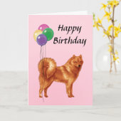 Finnischer Spitz mit Balloons Happy Birthday Karte (Gelbe Blume)