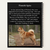 Finnischer Spitz Planer (Rückseite)