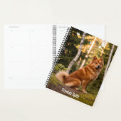 Finnischer Spitz Planner Planer (Anzeige)