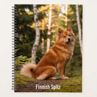 Finnischer Spitz Planner Planer