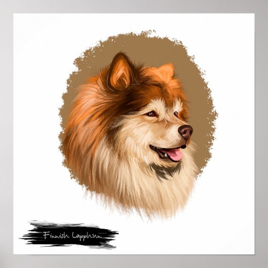 Finnisches Lapphund Dog Portrait | Portraitwand fü Poster (Vorne)