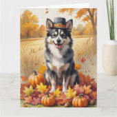 Finnisches Lapphund im Herbst lässt Erntedank Kuns Karte (Vorderseite)