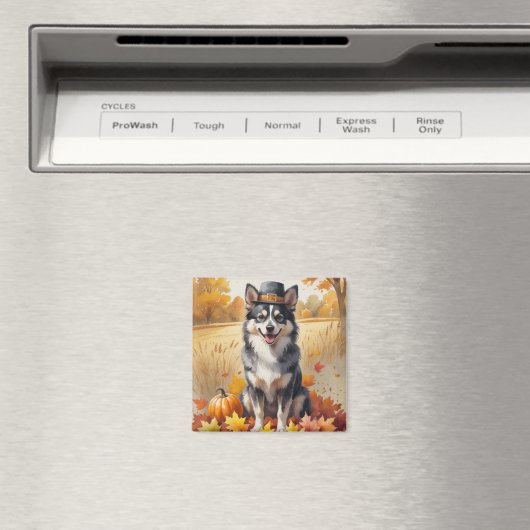 Finnisches Lapphund im Herbst lässt Erntedank Kuns Magnet (In Situ (Geschirrspüler))