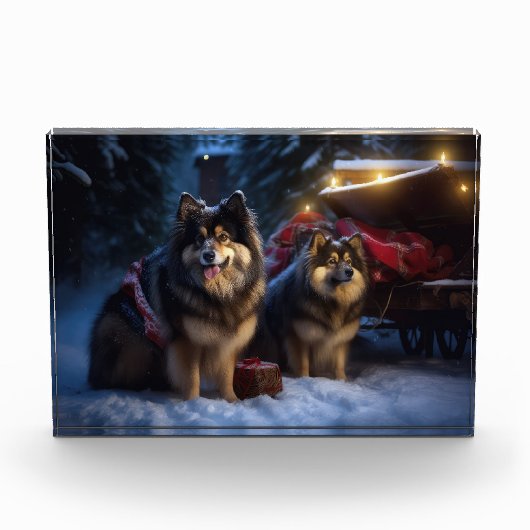 Finnisches Lapphund Snowy Sleigh Weihnachtsdekor Fotoblock (Vorderseite)