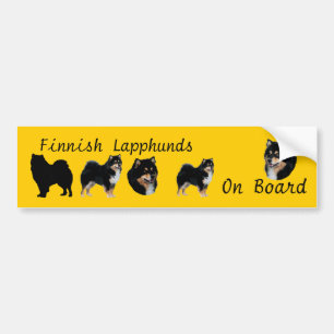 Finnisches Lapphunds an Bord Autoaufkleber