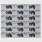 Finnish Lapphunds Geschenkpapier (Flach)